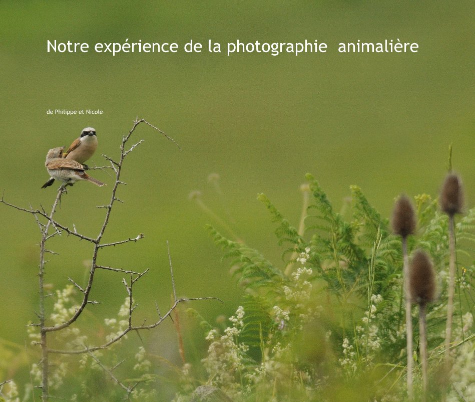 View Notre expérience de la photographie animalière by de Philippe et Nicole