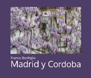 Madrid y Cordoba book cover