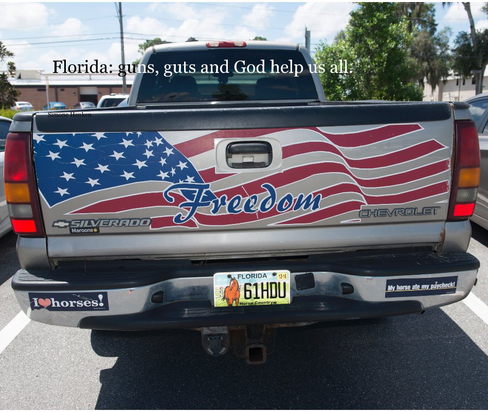 View Florida: guns, guts and God help us all. by Simone Henken