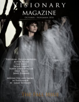 Visionary Magazine
The Fall Issue book cover
