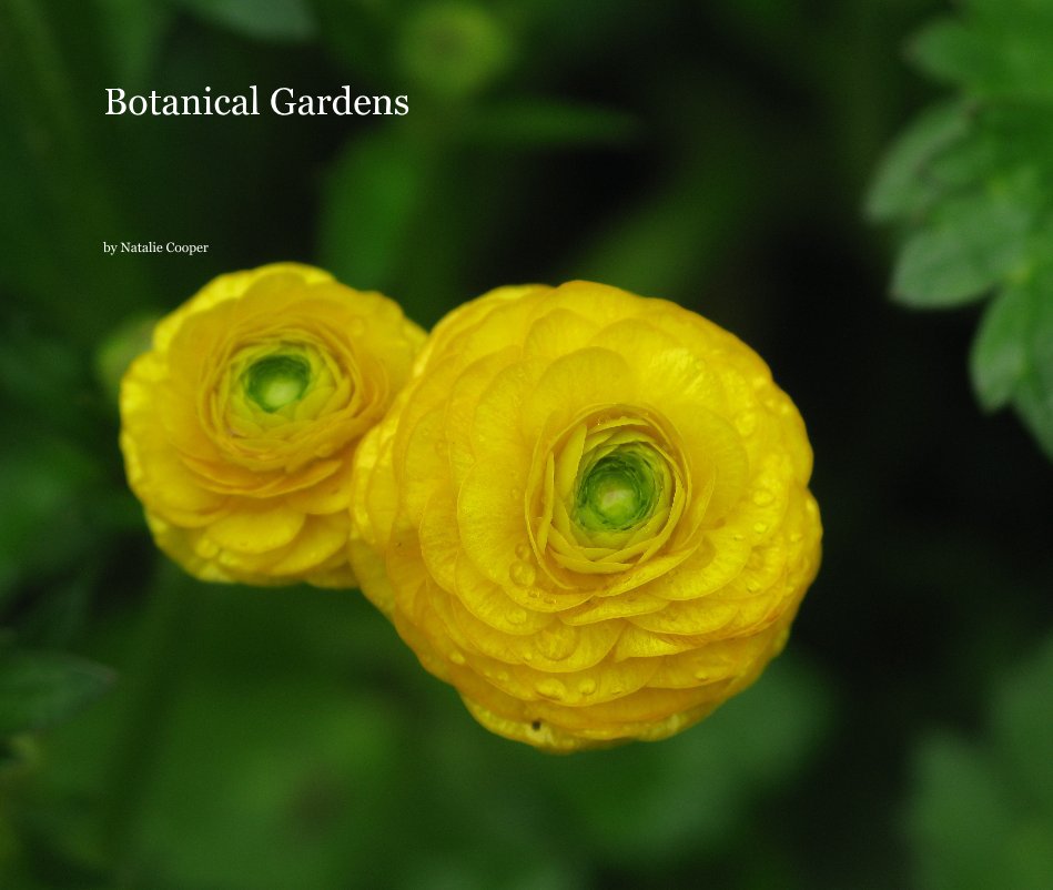 Ver Botanical Gardens por Natalie Cooper