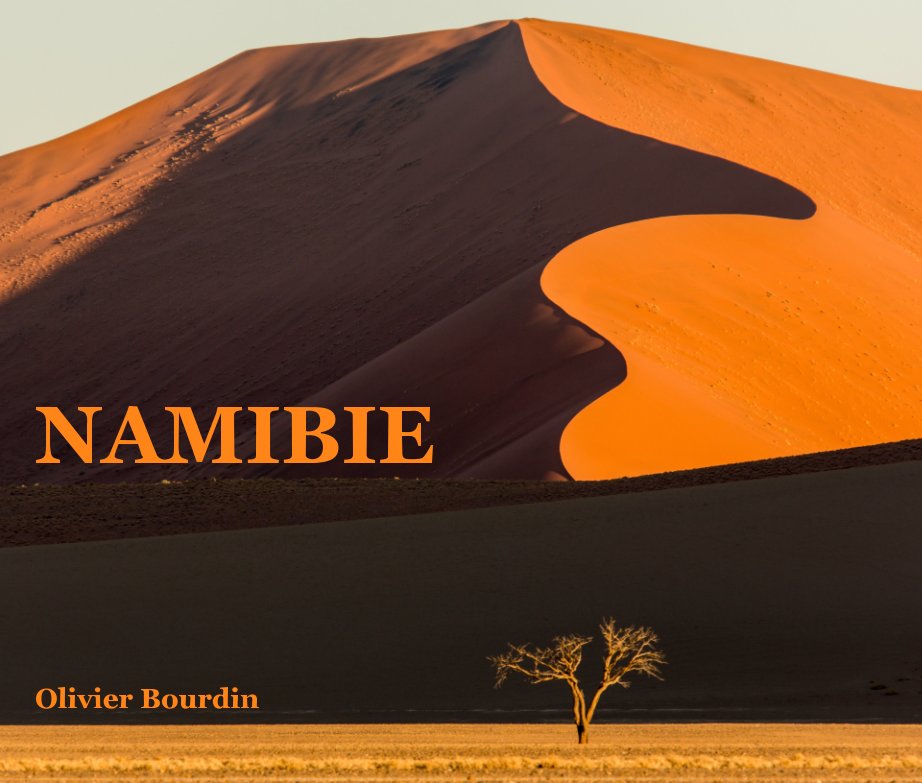 View Namibie by Olivier Bourdin