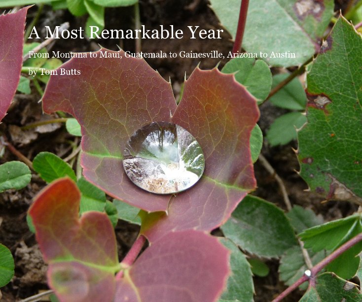 View A Most Remarkable Year by Tom Butts