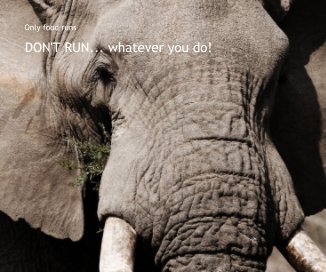 DON'T RUN... whatever you do! book cover