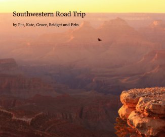 Southwestern Road Trip book cover