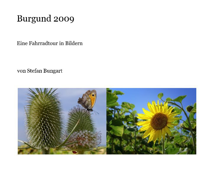 Ver Burgund 2009 por von Stefan Bungart