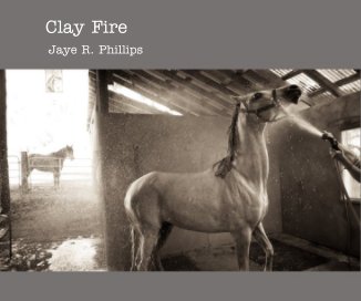 Clay Fire book cover