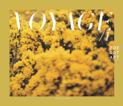 VOYAGE 1 book cover