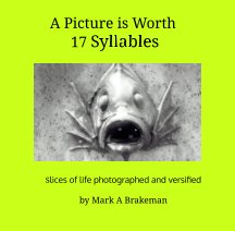 A Picture is worth 17 Syllables book cover
