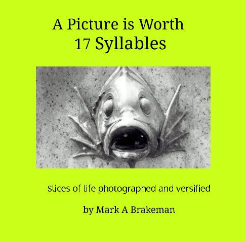 Ver A Picture is worth 17 Syllables por Mark A Brakeman