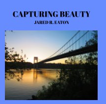 Capturing Beauty book cover