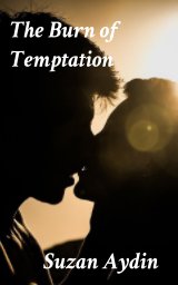 The Burn of Temptation book cover
