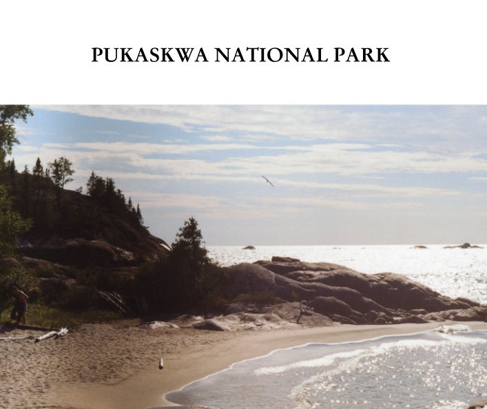 View Polaroids from Pukaskwa National Park by Nick Fulton