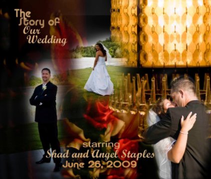The Story of Our Wedding book cover