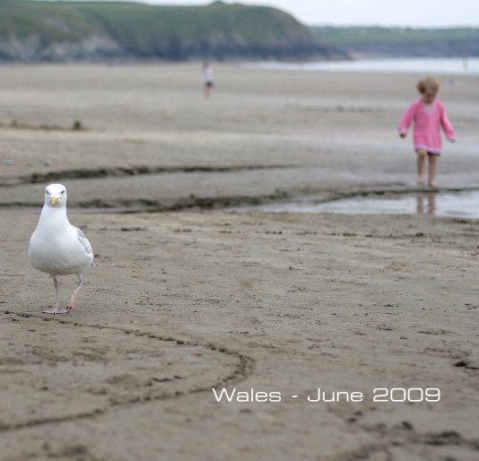 Ver Untitled por Wales - June 2009