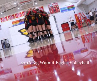2016 Big Walnut Eagles Volleyball book cover