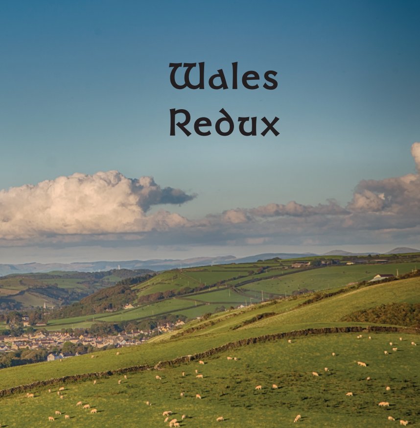 View Wales Redux by R Thomas and Paulette L. Berner