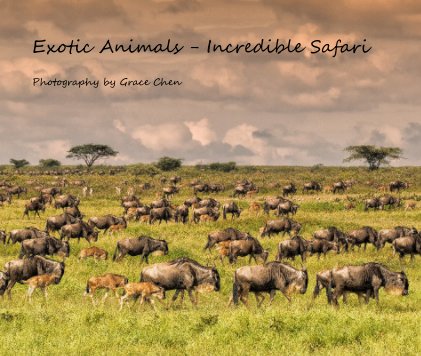 Exotic Animals - Incredible Safari book cover