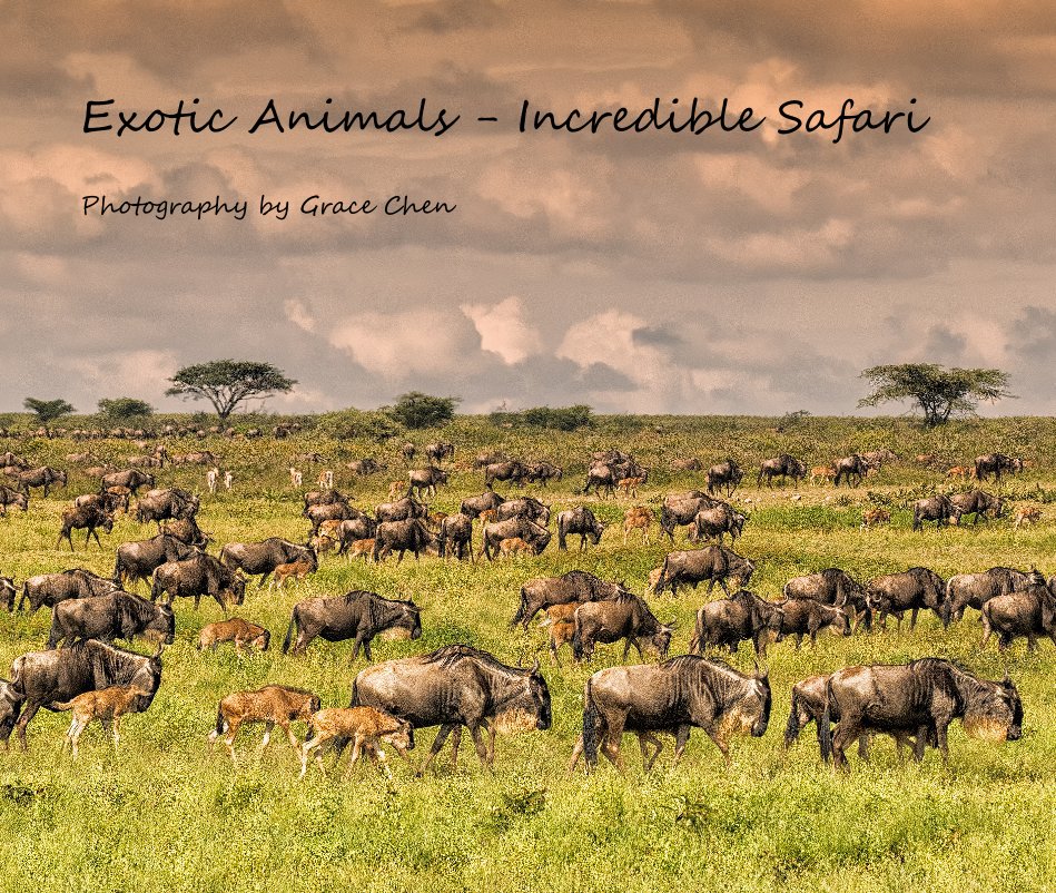 Ver Exotic Animals - Incredible Safari por Photography by Grace Chen