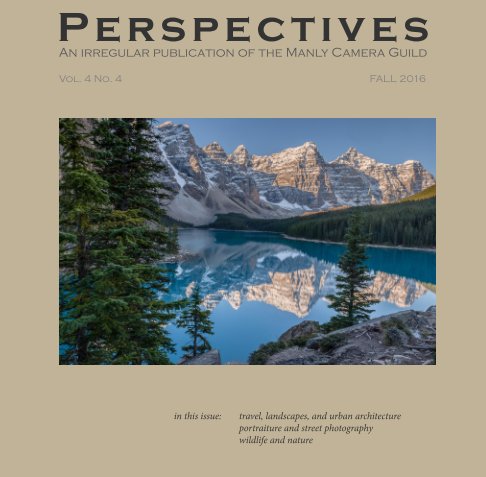 Ver Perspectives, Vol. 4 no. 4 por Birnbaum (ed.), et al.