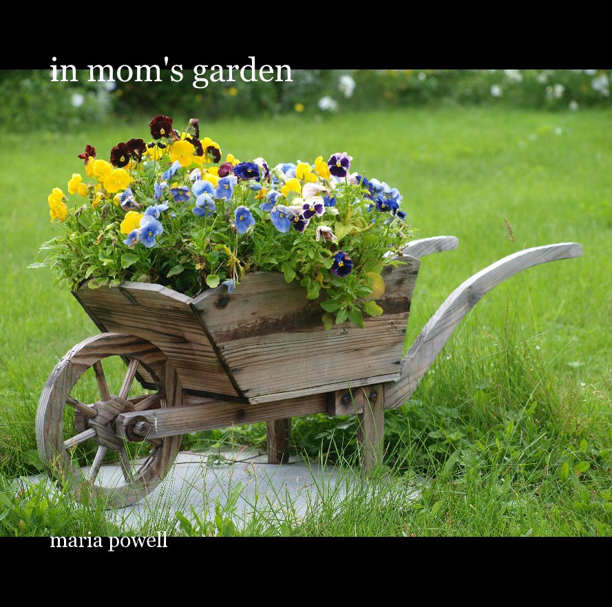 View in mom's garden by maria powell