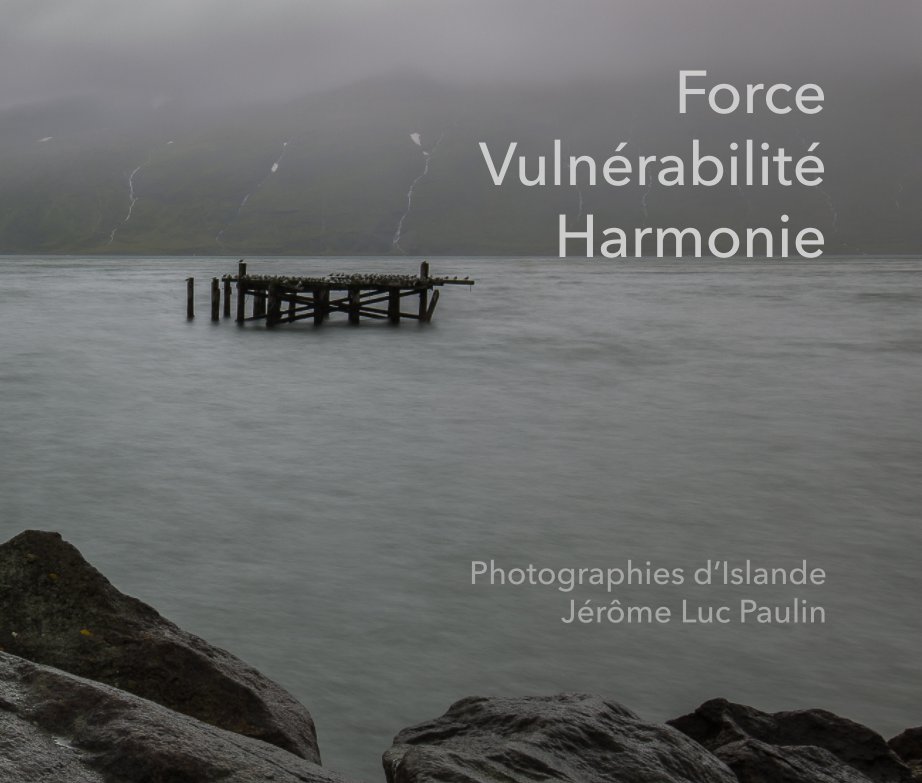 Ver Force Vulnérabilité Harmonie por Jérôme Luc Paulin