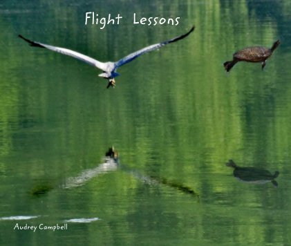 Flight Lessons book cover