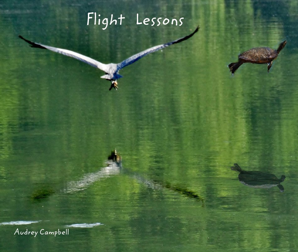 View Flight Lessons by Audrey Campbell