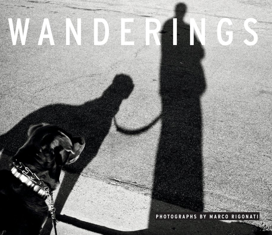 wanderings book