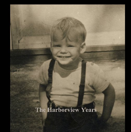 View The Harborview Years by Judy Sanborn