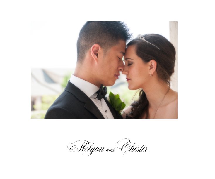 Ver Megan and Chester por A. Starr