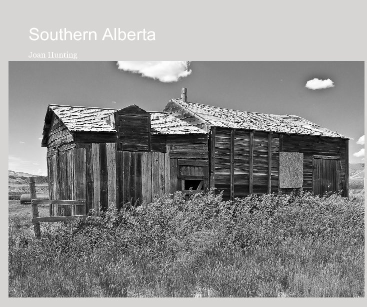 View Southern Alberta by Joan Hunting