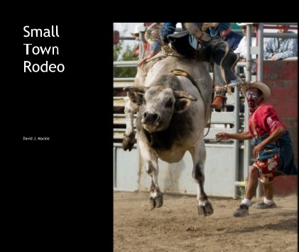 Small Town Rodeo book cover