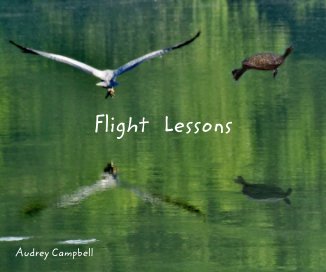 Flight Lessons book cover