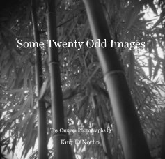 Some Twenty Odd Images book cover