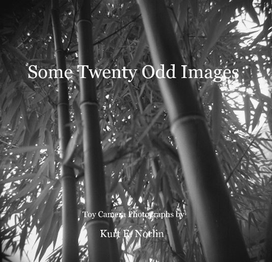 Visualizza Some Twenty Odd Images di Kurt E. Norlin