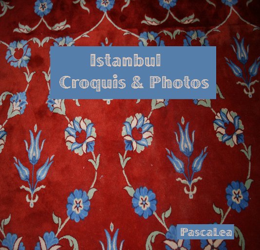 Ver Istanbul Croquis & Photos por PascaLea