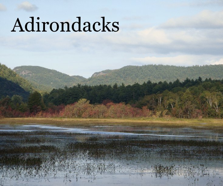 View Adirondacks by Donna Gregory