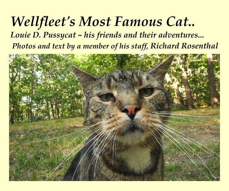 View Wellfleet's Most Famous Cat.. Louie D. Pussycat ~ his friends and their adventures... Photos and text by a member of his staff, Richard Rosenthal by photos & text by a member of his staff, Richard Rosenthal