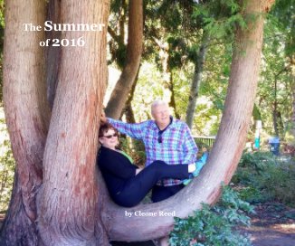 The Summer of 2016 book cover