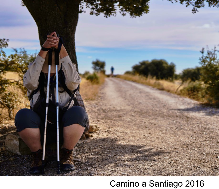 View Camino a Santiago by Arturo Maseda