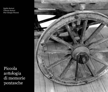 Piccola antologia di memorie pontasche book cover