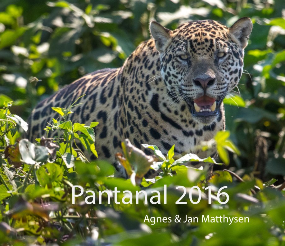 Ver Pantanal por Jan Matthysen