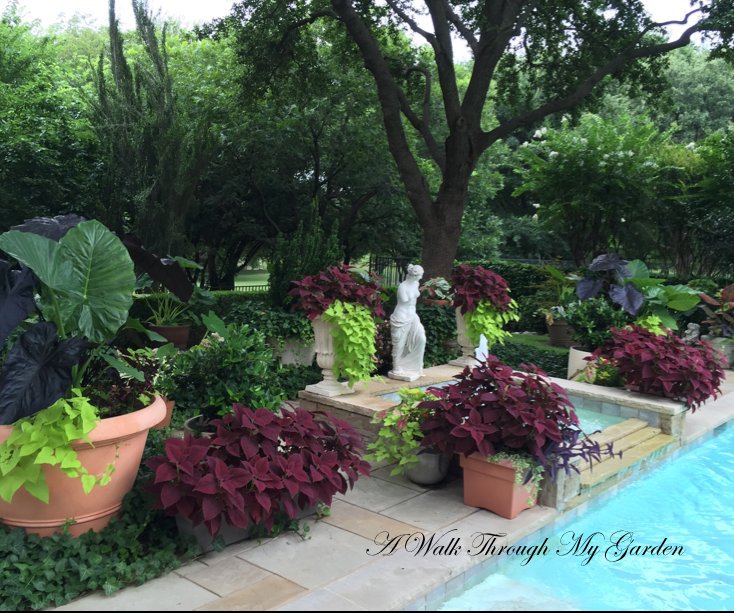 View A Walk Through My Garden by Linda Salinas