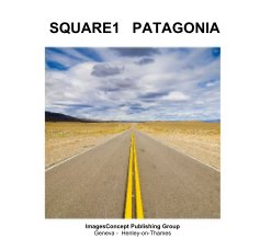 SQUARE1 PATAGONIA book cover