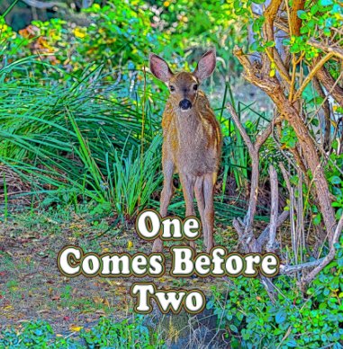 One Comes Before Two book cover