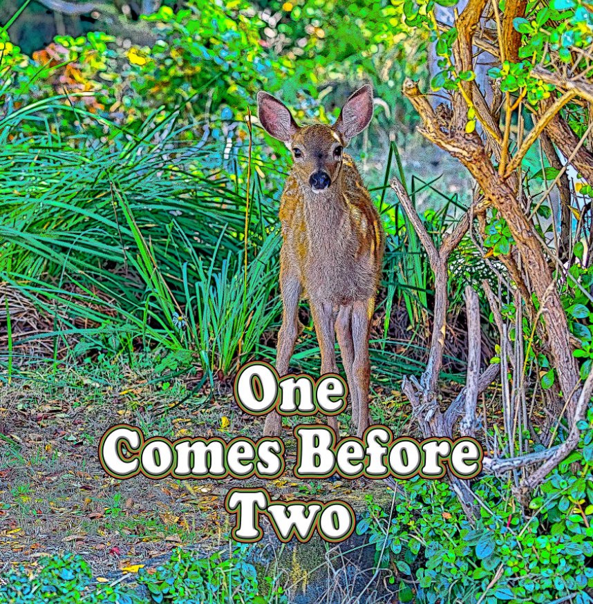 View One Comes Before Two by Elizabeth W Allgood