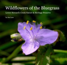 Wildflowers of the Bluegrass book cover