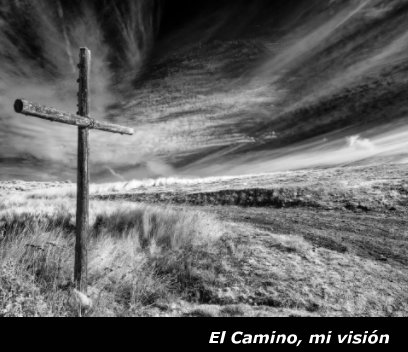 El Camino, mi visión book cover