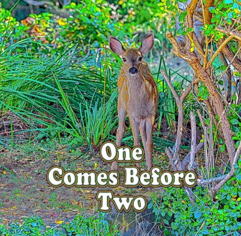 View One Comes Before Two by Elizabeth W Allgood
